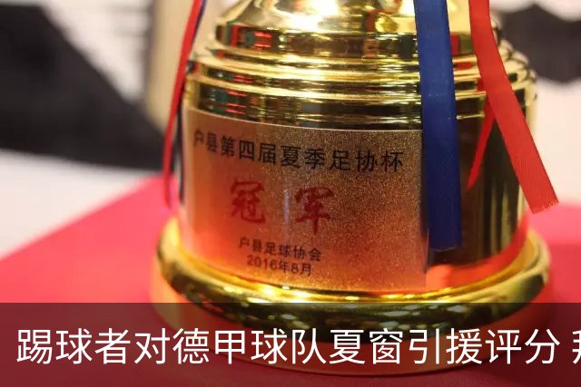 踢球者对德甲球队夏窗引援评分 拜仁第一多特第十
